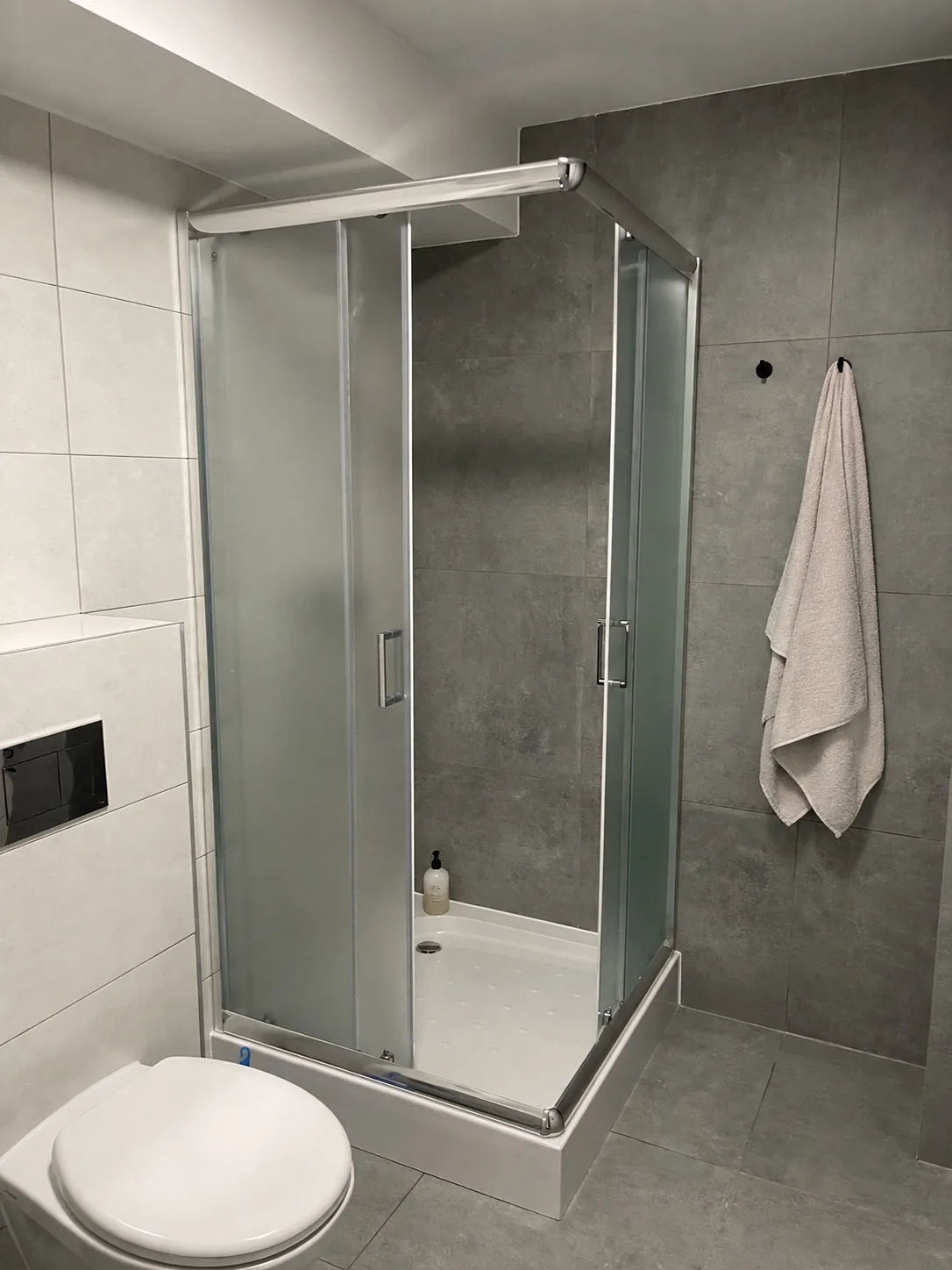 Prysznic z matowym szkłem i toaleta podwieszana